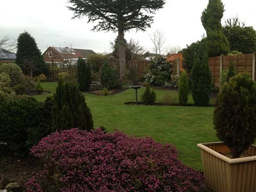 trees and flowers in garden