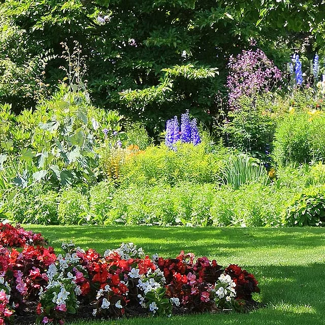 flowers and garden landscaping