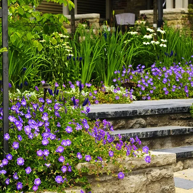 garden scenery