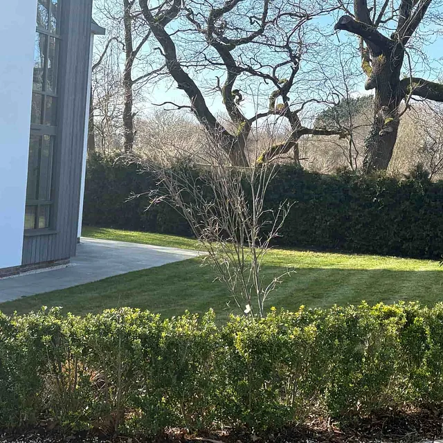 gardening services