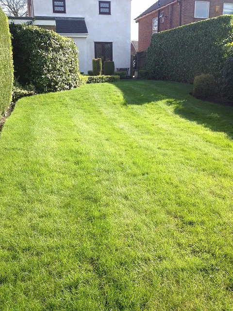 garden done by jon