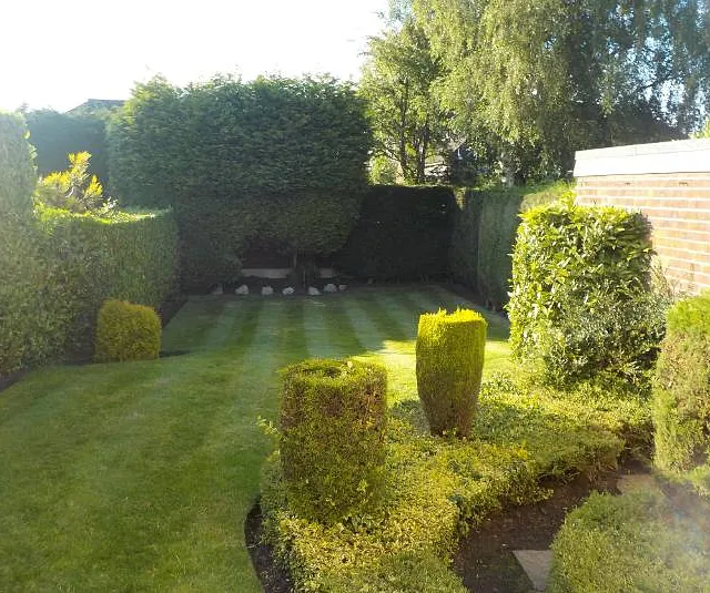 garden and hedges