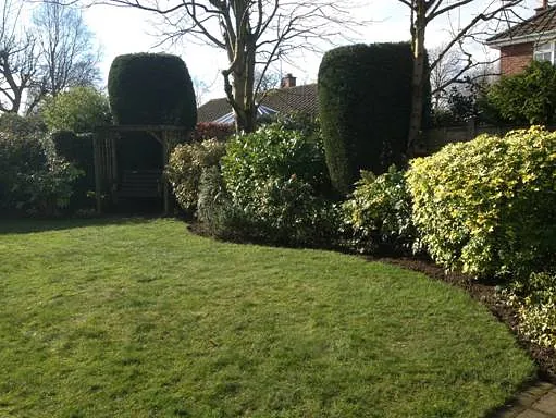 garden landscaping