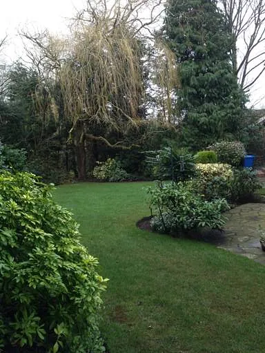 tree planting in garden